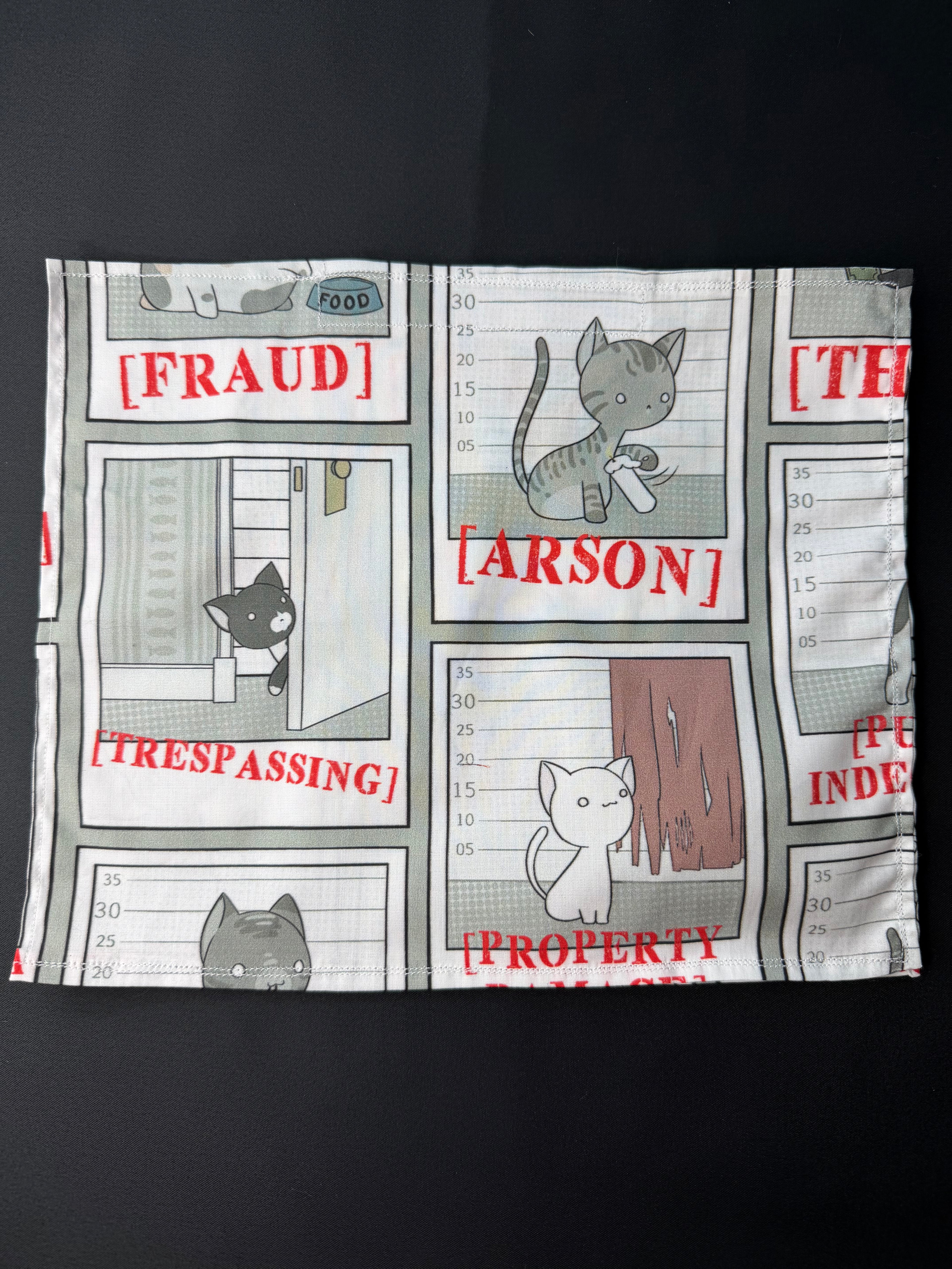 Refillable Catnip Mat Cats Can’t Get Enough Of