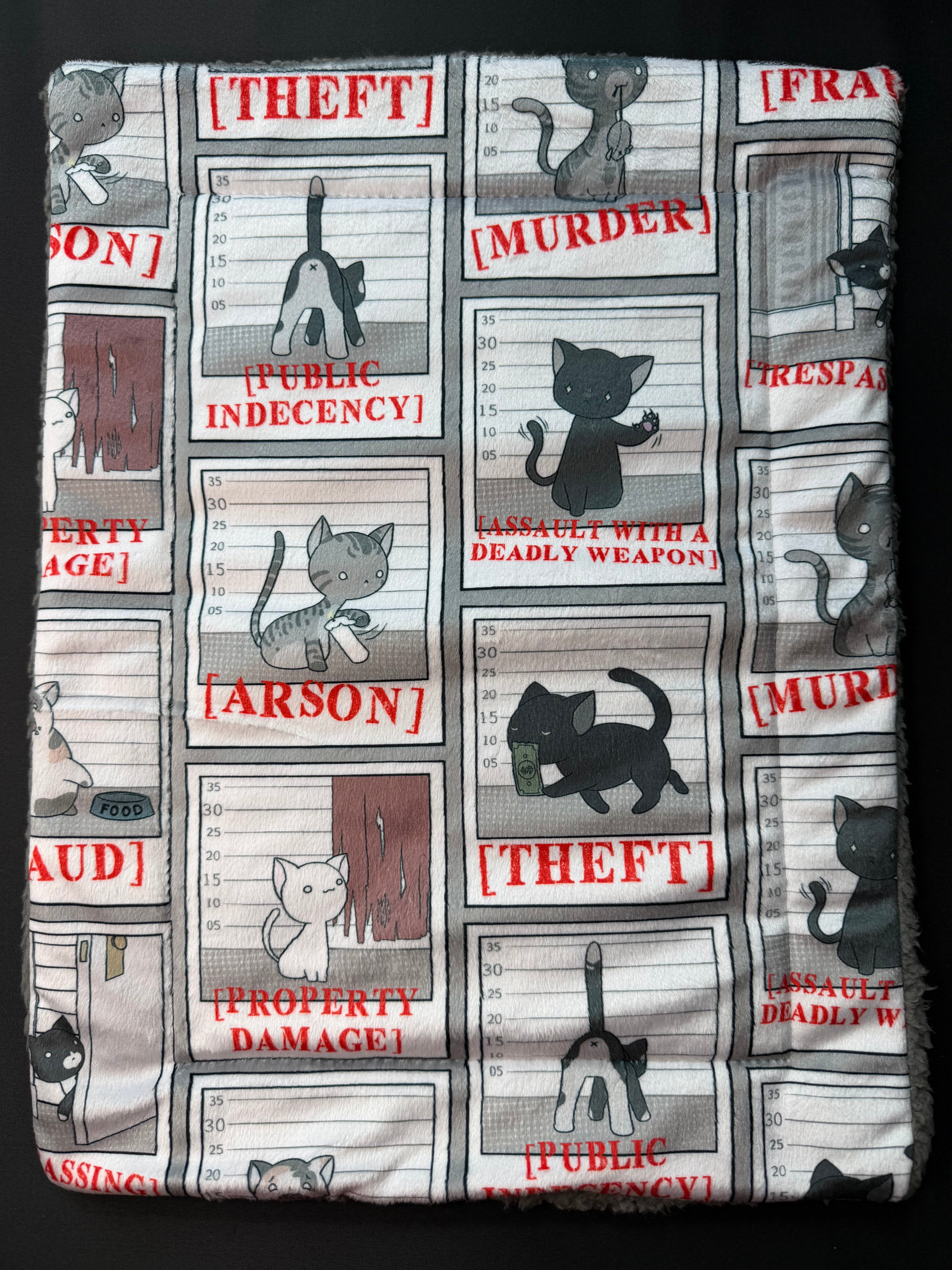 Cat Mats- Super Soft and Machine Washable!