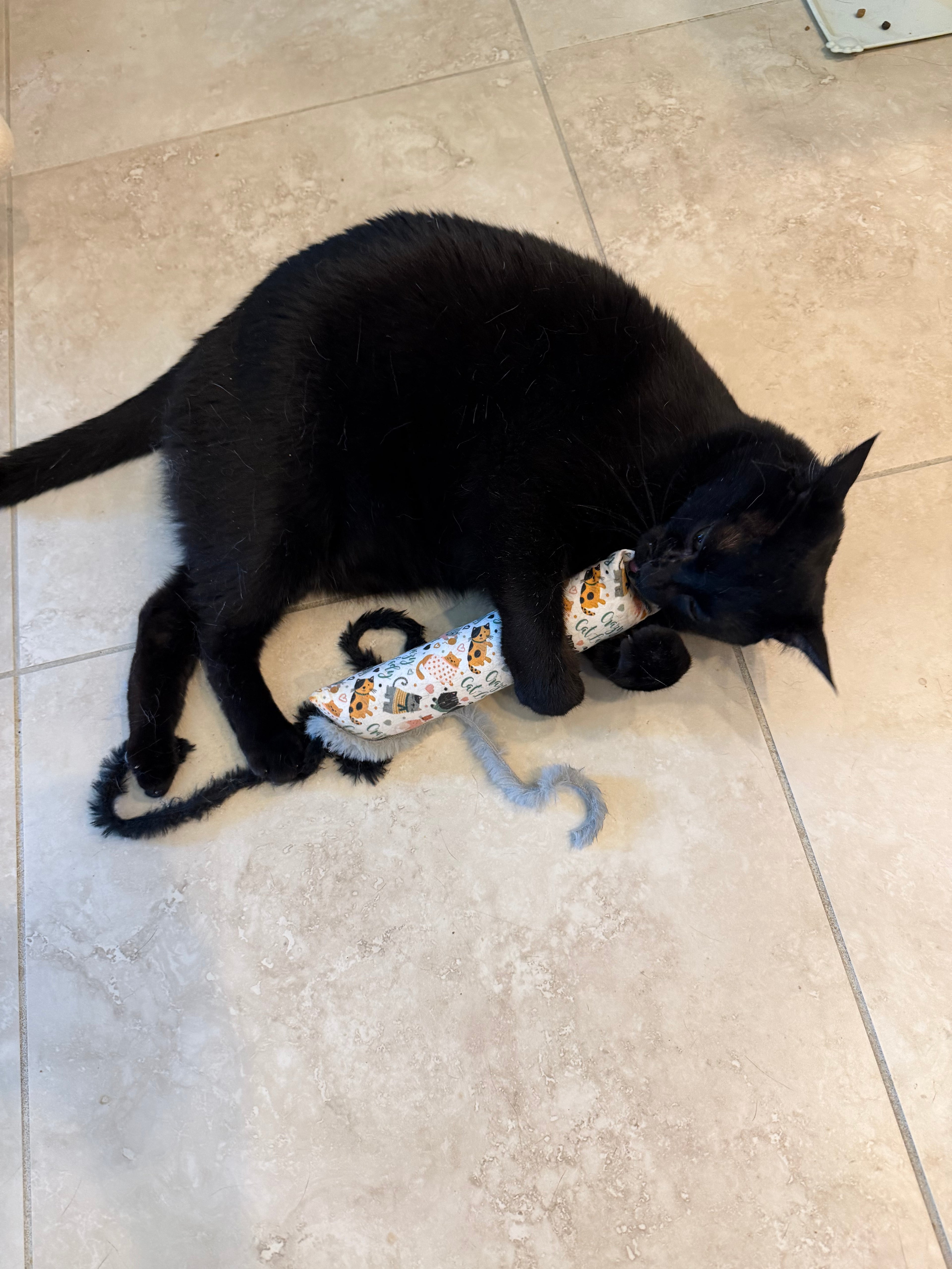 Catnip Kicker Toy Cats Go Crazy For