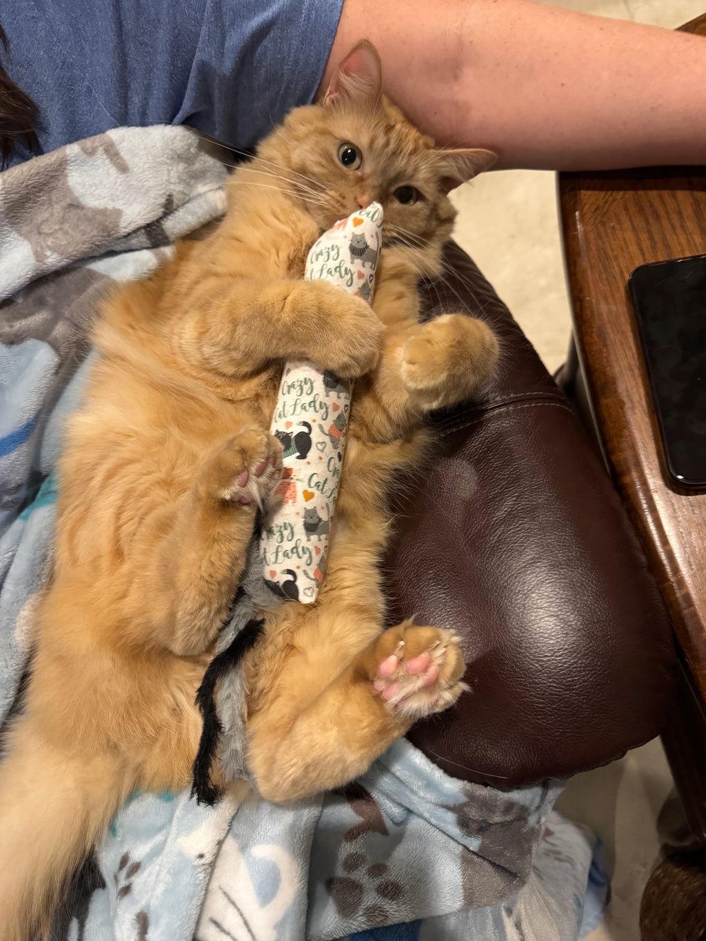 Catnip Kicker Toy Cats Go Crazy For