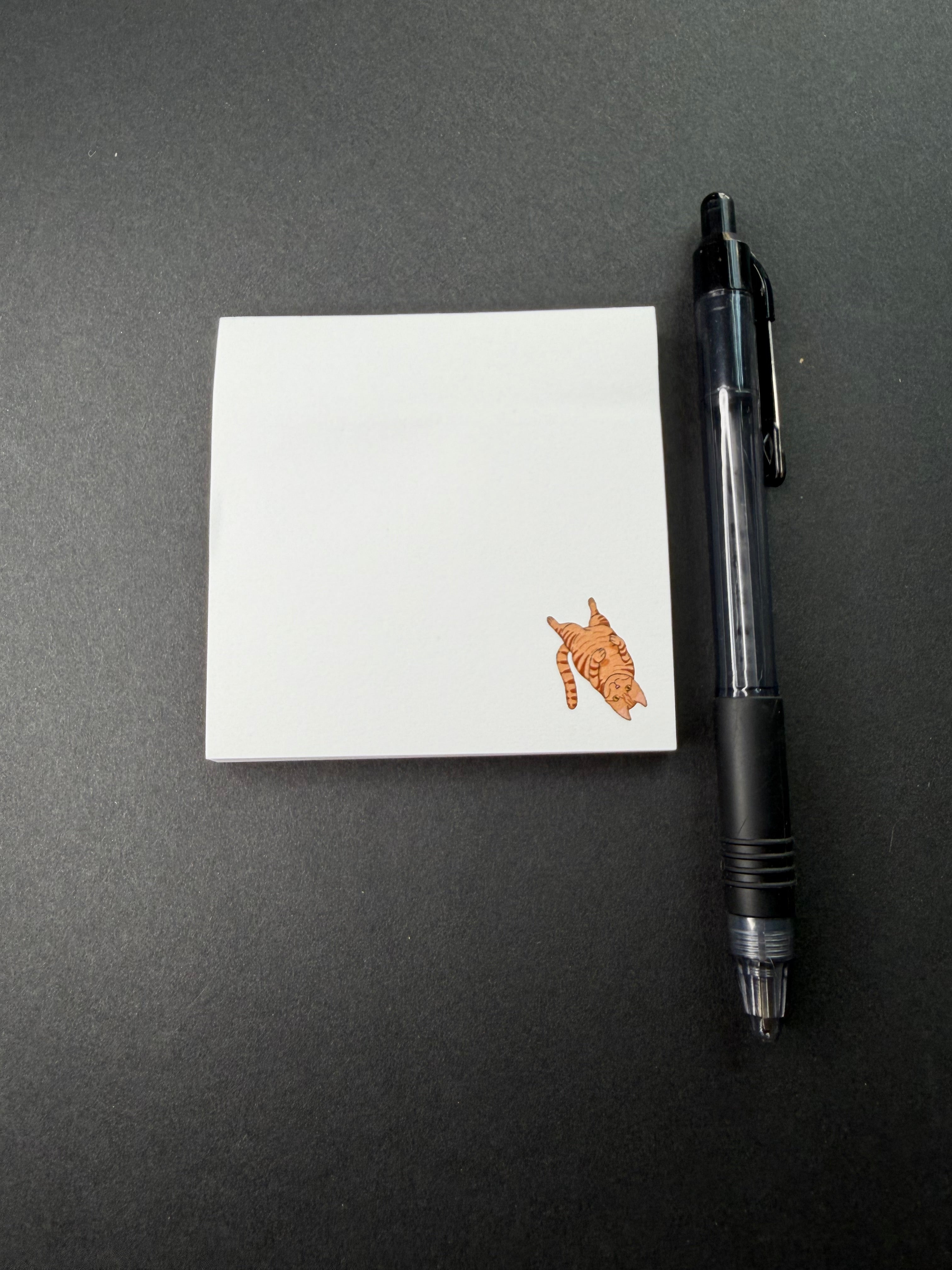 Sticky Notes- 9 different designs