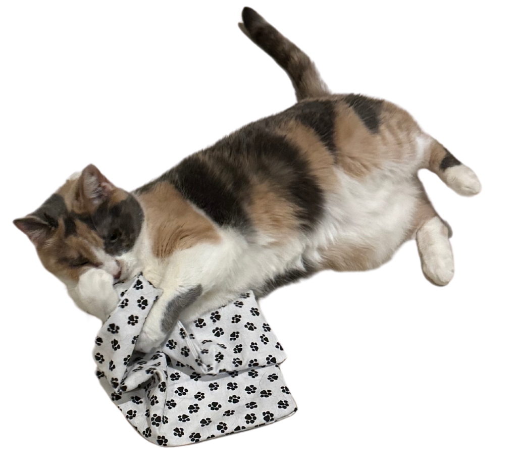 Refillable Catnip Mat Cats Can’t Get Enough Of