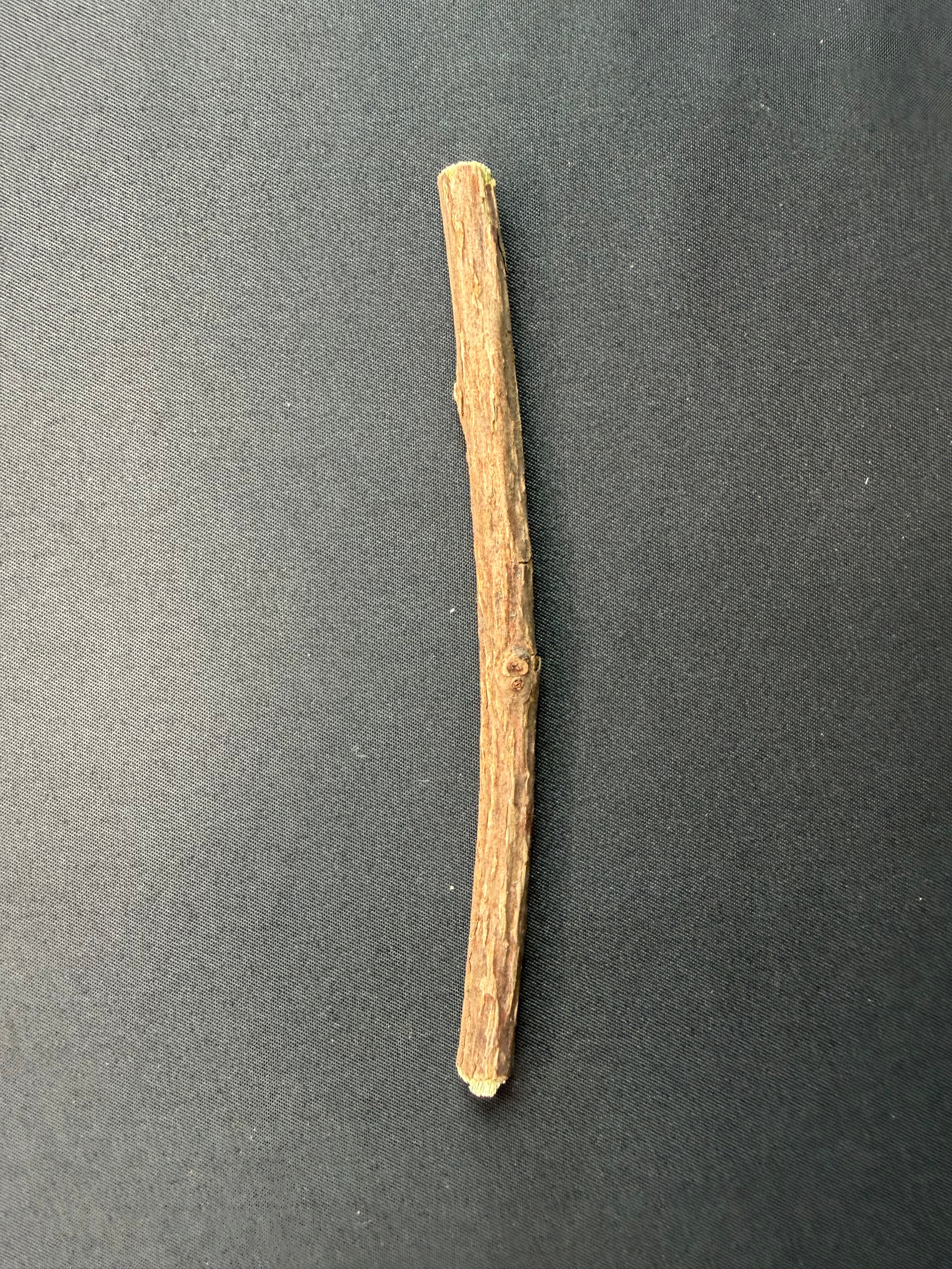 Silvervine Sticks Cats Go Crazy For (Great for Chewing)