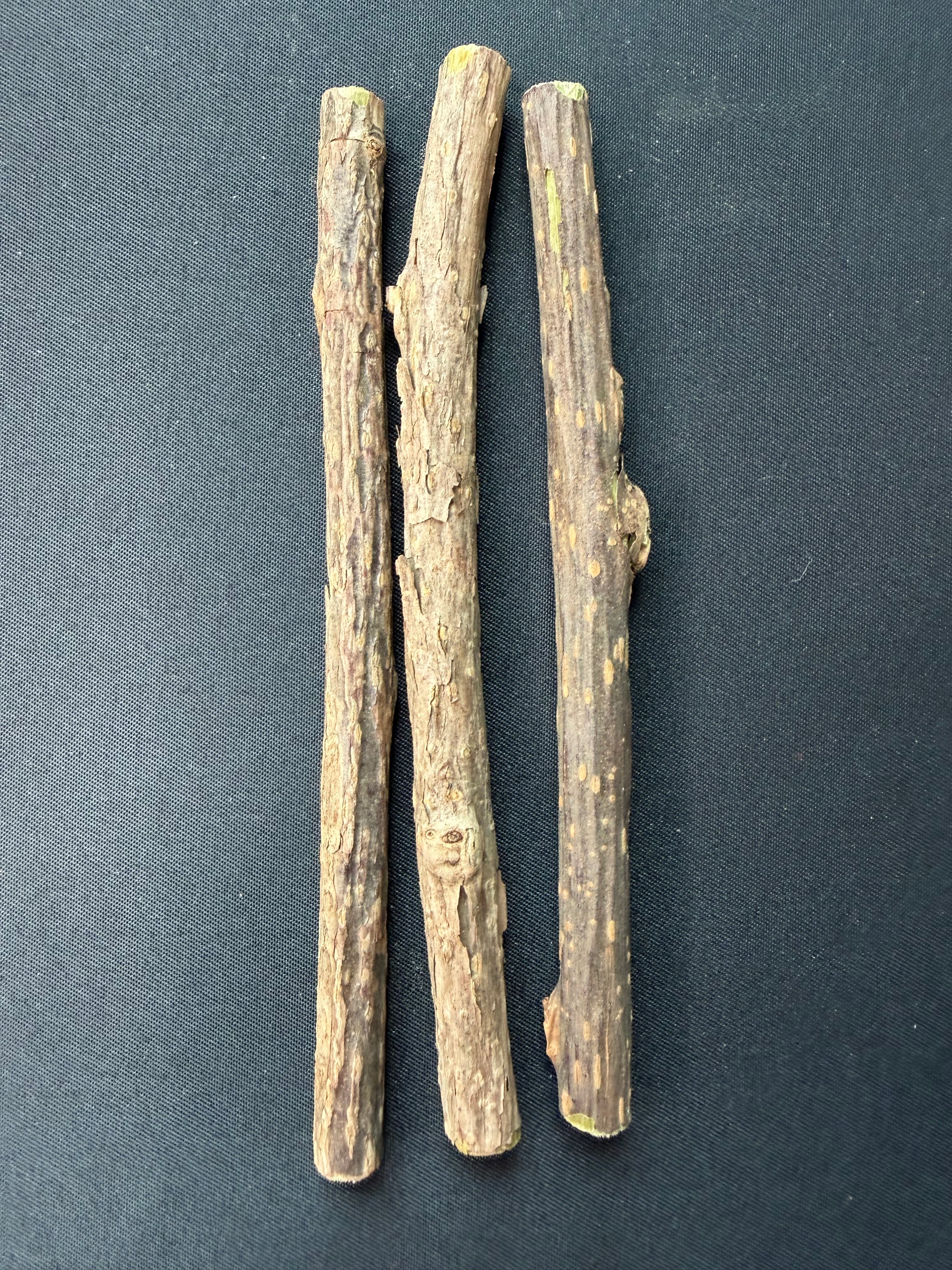 Silvervine Sticks Cats Go Crazy For (Great for Chewing)